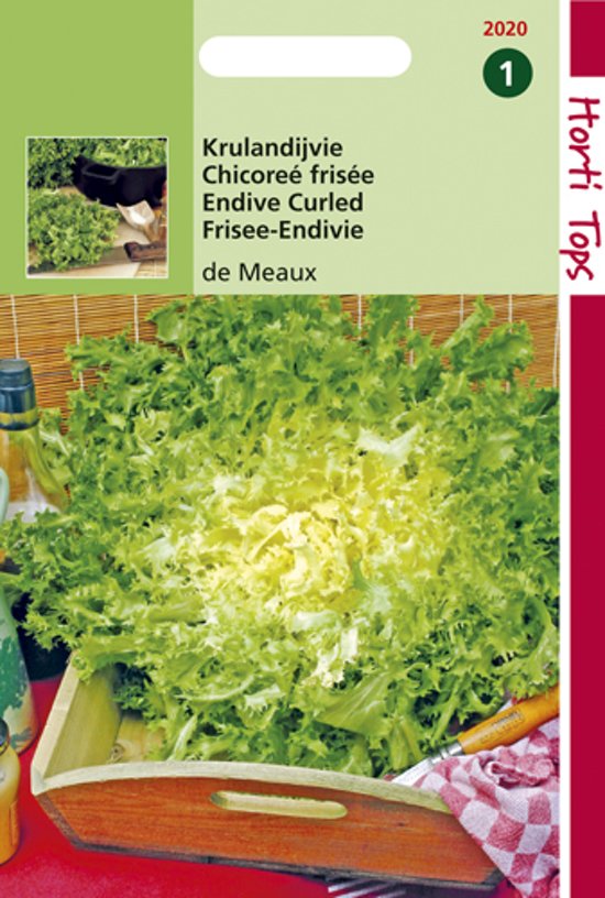 Krulandijvie de Meaux (Cichorium) 2200 zaden